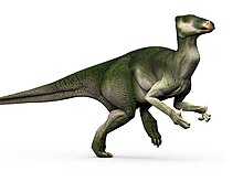 Iguanadon