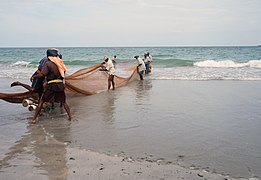 Trinquemalay, la plage des pêcheurs.