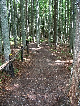 OBFA - "Orto Botanico Forestale dell'Abetone"