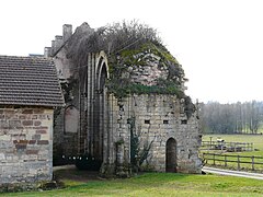 Les ruines de l'abbaye de Dalon.