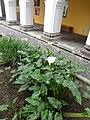 El Museo de la Ciudad, Quito