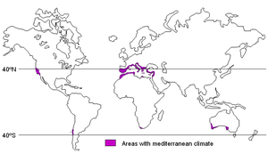 Karta sa regijama svijeta koje imaju mediteransku klimu