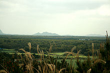 Gotjawal Forest on Jeju Island-01.jpg