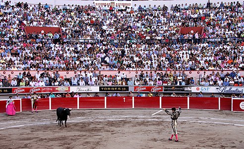 San marcos bullfight 04