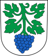 Wappen von St. Margrethen