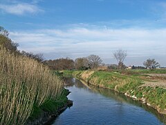 Canal du Viguièrat, près de Saint-Étienne-du-Grès.