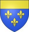 Blason