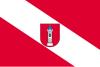 Wieluń zászlaja