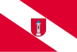 Wieluń zászlaja