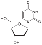 Struktur kimia deoksiuridina