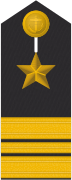 Schulterklappe eines Kapitänleutnants (Truppendienst/MilFD)