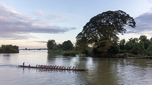 Rowers on a long racing pirogue training for a competition at sunrise in Don Det Laos