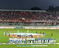 Vista sul settore dei distinti in occasione della finale play-off del campionato di Serie B 2011-2012.