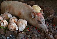 Samoan umu, an oven of hot rocks above ground