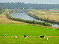 Vecht rivier