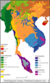 Sud-Est asiatique linguistique, 2020