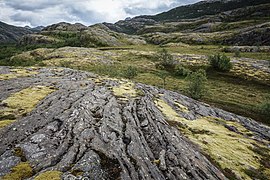 Wilderness near Bodø 1 - panoramio.jpg