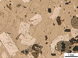 Sezione di dacite vista a un solo polarizzatore