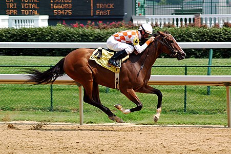 Horseracing, Churchill Downs