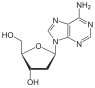 Kemia strukturo de deoksoadenozino