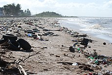 The litter problem on the coast of Guyana, 2010