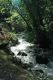 Le ruisseau du Laxia, affluent de la Nive.