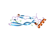 2bhk: CRYSTAL STRUCTURE OF HUMAN GROWTH AND DIFFERENTIATION FACTOR 5 (GDF5)