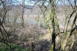 The Marisus river north of the vicus (2014)