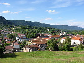 View of the center of Senones