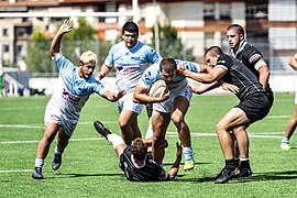 Aviron Bayonnais Euskal Errugbi Ligaren lehen txapelduna.