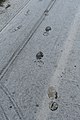 [4] sporen in de sneeuw