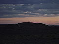 A Khulan (Mongolian Wild Ass) on a hill in the Gobi of the Ömnögovi, at sunset.