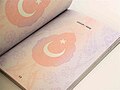 Eski tasarıma sahip bir Türk pasaportu sayfalarında kullanılan tasarım