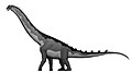 Alamosaurus um saurópode