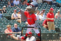 A person wearing a gray bat costume with a red jersey, white pants, and navy and red cap standing on a ballpark railing