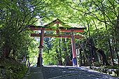 Sannō-torii.