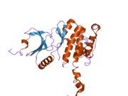 2ac5: Structure of human Mnk2 Kinase Domain mutant D228G