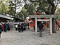 Kaku torii