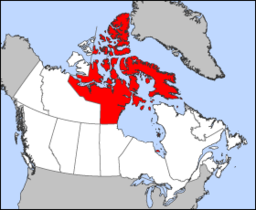 Nunavuts läge i Kanada.