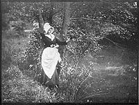 Dívčí fantazijní rozjímání, 1895