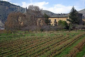 Viñedos del Castillo de Villafranca del Bierzo