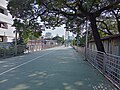 La passerelle Green Bridge reliant le parc Lumphini au parc Benjakitti