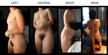 Exterior Anatomy Female Model - Position Labels.png