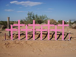 Acht roze kruizen, met op de achtergrond een woestijnlandschap
