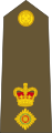 New Zealand Army (Lieutenant Colonel)
