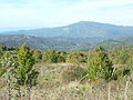 Les monts de Karthlie entre Telavi et Tbilissi