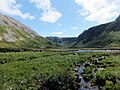 Pelouse d'altitude vers Ferry Gulch et Gros Morne