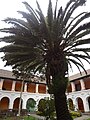 El Museo de la Ciudad, Quito