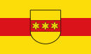 Drapeau de Rheine