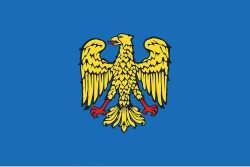 Friuli régió történelmi zászlója